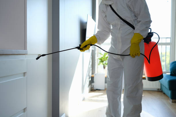 Best Mold Cleaning Services  in Iowa City, IA