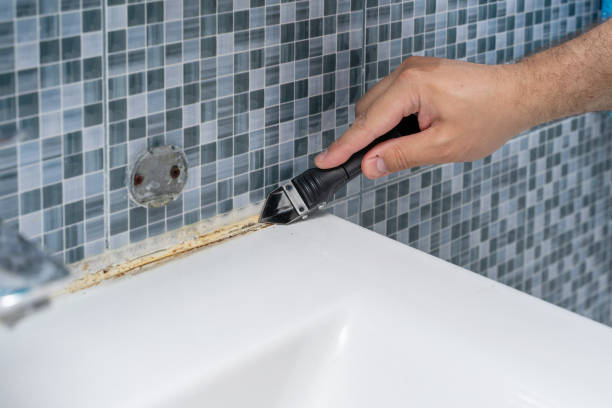 Best Commercial Mold Removal  in Iowa City, IA
